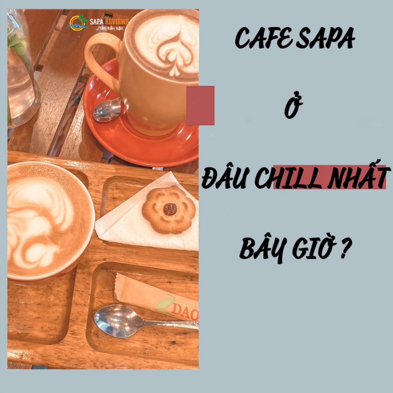 Top 5 quán café view cực chill phải ghé khi du lịch Sapa cho ai thích ngắm mây và núi