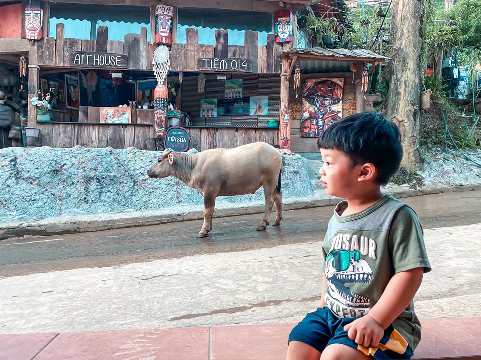 du lịch sapa đến bản Cát Cát 