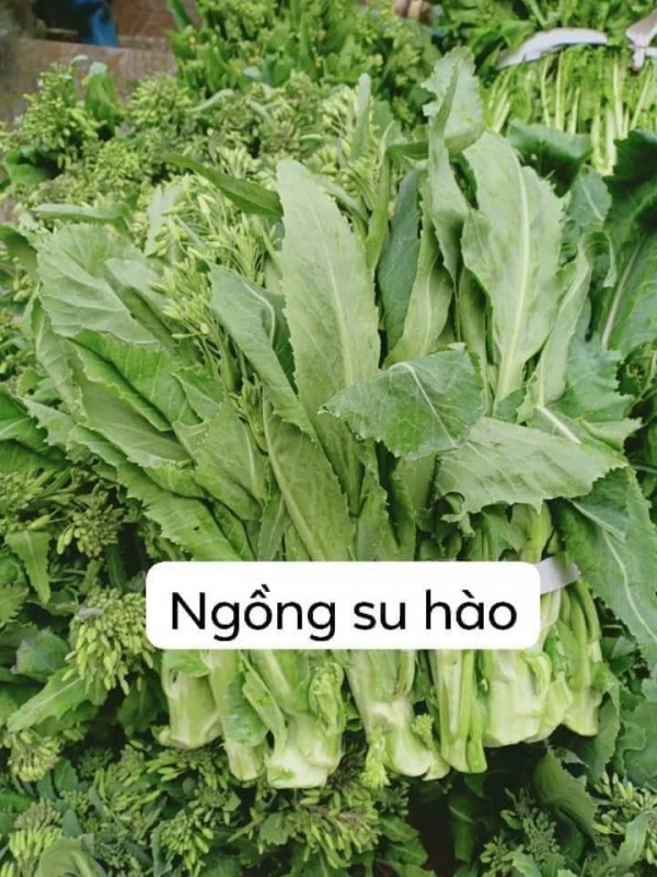 du lịch sapa thử rau đặc sản