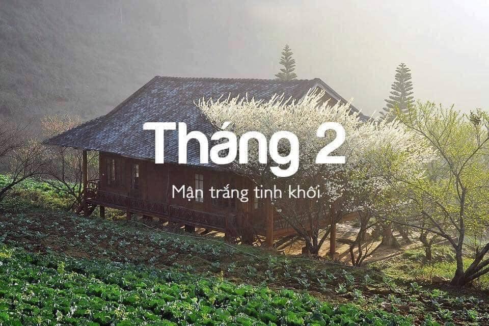 SAPA THÁNG 2 MỘNG MƠ