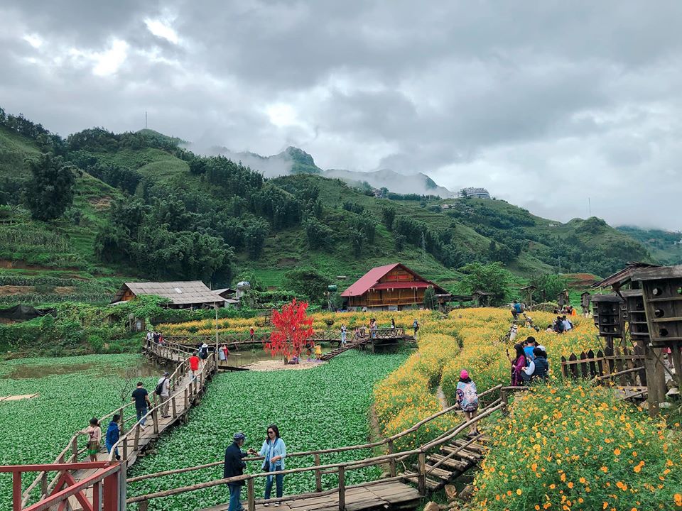 lịch trình du lịch Sapa bản Cát Cát