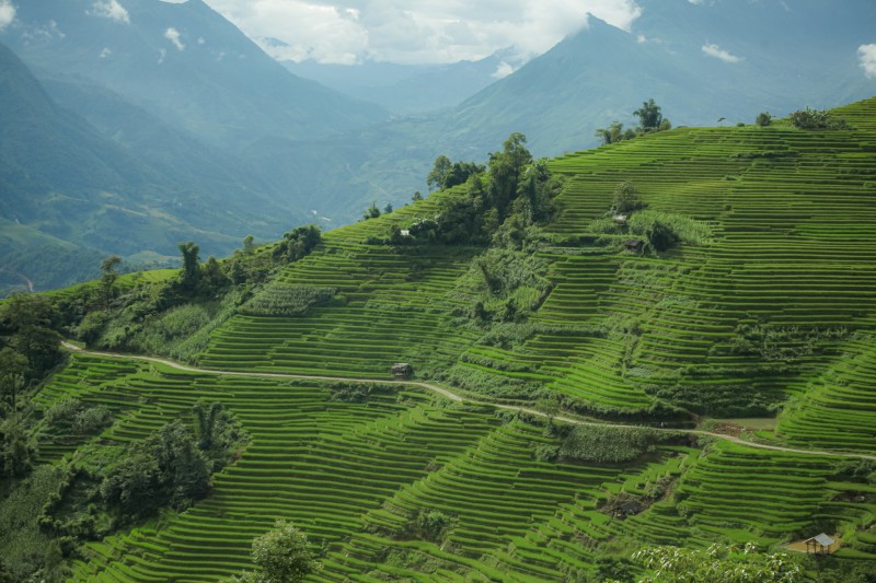 du lịch sapa Nậm cang 