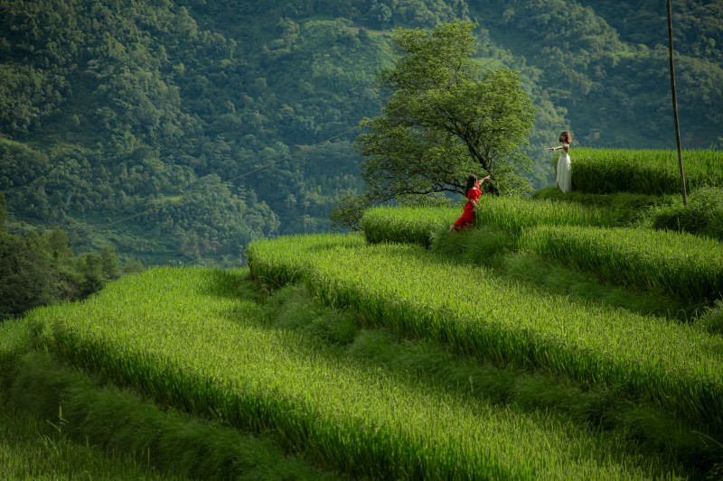 du lịch sapa nậm cang